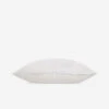 Compartment Sleeping Pillow By Pom Pom At Home 2 Compartment Sleeping Pillow By Pom Pom At Home -Furniture Decoration Shop 101 compartment 900x 1409ec39 7f6a 412d 974d 445bc2a2ad18