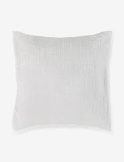 Darcy Sham -Furniture Decoration Shop 103 V250172 1 900x 970903c3 c99b 4702 87ef bab414d48bfb