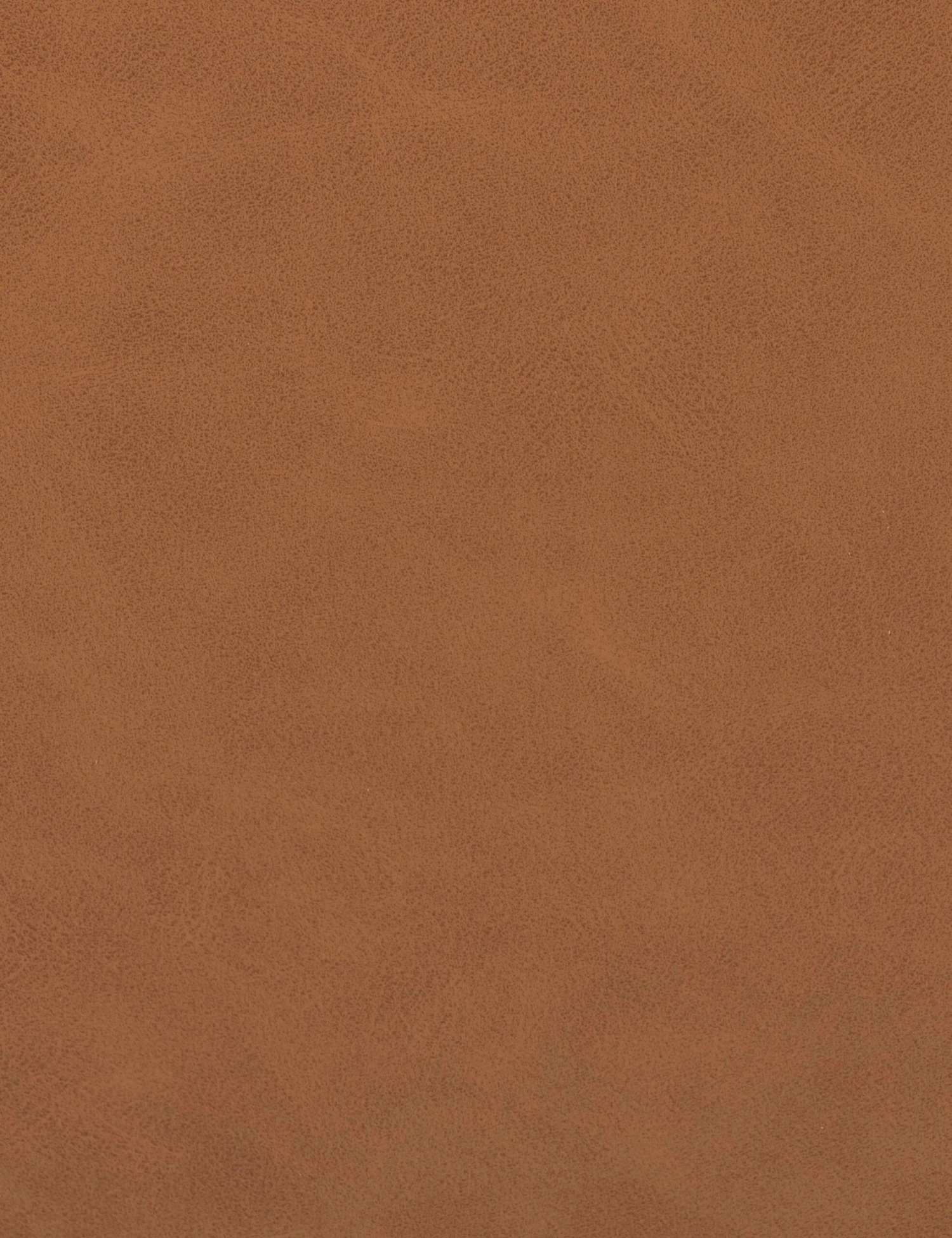 Marla Dining Chair 13 Marla Dining Chair - Image 11