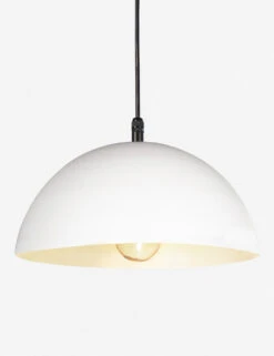 Peridot Outdoor Pendant Light By Regina Andrew -Furniture Decoration Shop 17 1003WT