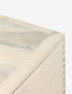 Rosamonde Storage Bench -Furniture Decoration Shop 224491 003 DET 7