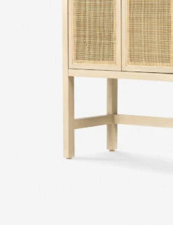 Hannah Narrow Cabinet -Furniture Decoration Shop 225960 002 DET 5