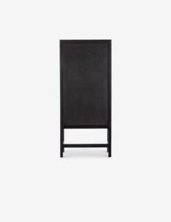Hannah Narrow Cabinet -Furniture Decoration Shop 225960 003 BCK 1