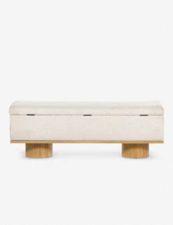 Wynter Storage Bench -Furniture Decoration Shop 226181 001 BCK 1