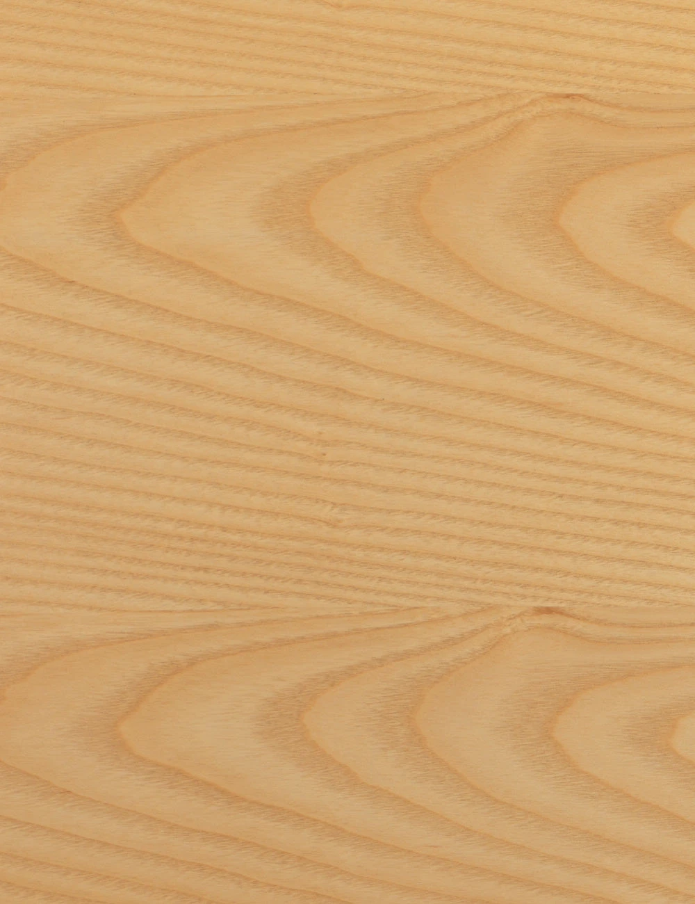 Paul Bar And Counter Stool 8 Paul Bar And Counter Stool - Image 6