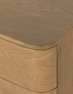 Cyrus Dresser 16 Cyrus Dresser -Furniture Decoration Shop 226604 002 DET 3