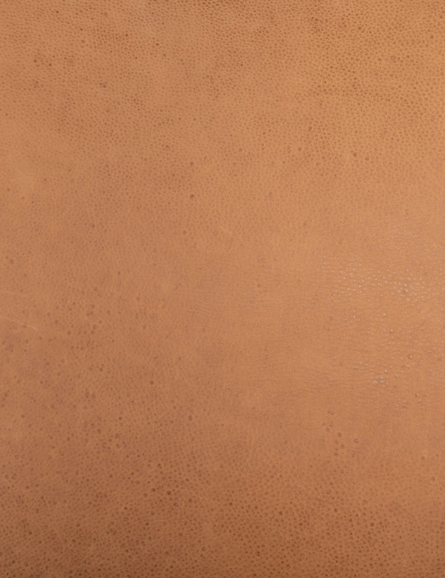 Mathieu Dining Chair 9 Mathieu Dining Chair - Image 7