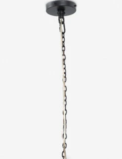 Ephram Pendant Light 9 Ephram Pendant Light -Furniture Decoration Shop 226728 001 DET 4