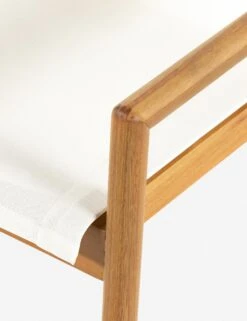 Charise Indoor / Outdoor Dining Chair -Furniture Decoration Shop 226828 001 DET 1