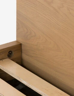 Cyrus Platform Bed -Furniture Decoration Shop 226971 003 DET 3