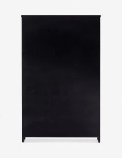 Wilcox Curio Cabinet -Furniture Decoration Shop 228291 001 BCK 1