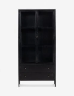 Furniture Decoration Shop 28 Mathus Curio Cabinet