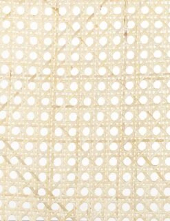 Barron Dining Chair -Furniture Decoration Shop 229571 001 DET 2