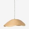 Anela Pendant Light 1 Anela Pendant Light -Furniture Decoration Shop 230938 001 FRT 1