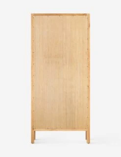 Spooner Curio Cabinet -Furniture Decoration Shop 232357 001 BCK 1