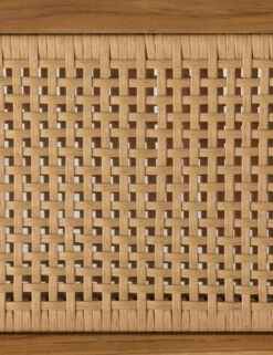 Anson Indoor / Outdoor Dining Chair -Furniture Decoration Shop 234354 001 DET 2