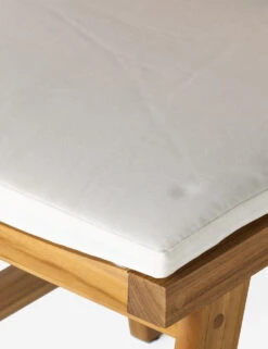 Anson Indoor / Outdoor Dining Chair -Furniture Decoration Shop 234354 001 DET 5