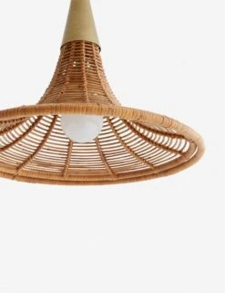 Nicola Pendant Light By Arteriors -Furniture Decoration Shop 45203.d4