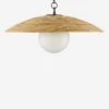 Phelan Pendant Light 2 Phelan Pendant Light -Furniture Decoration Shop 9000 0798 1 PRODUCT