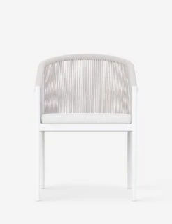 Esparza Indoor / Outdoor Dining Arm Chair