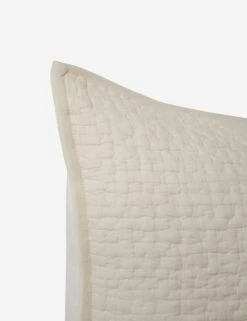 Clemence Sham -Furniture Decoration Shop ClemenceSham Bone Euro L0466346 105