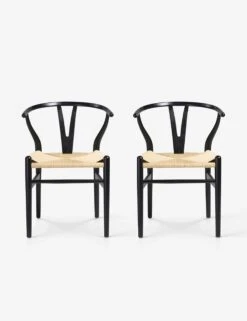 Cylia Dining Chair (Set Of 2) -Furniture Decoration Shop Cylia1black