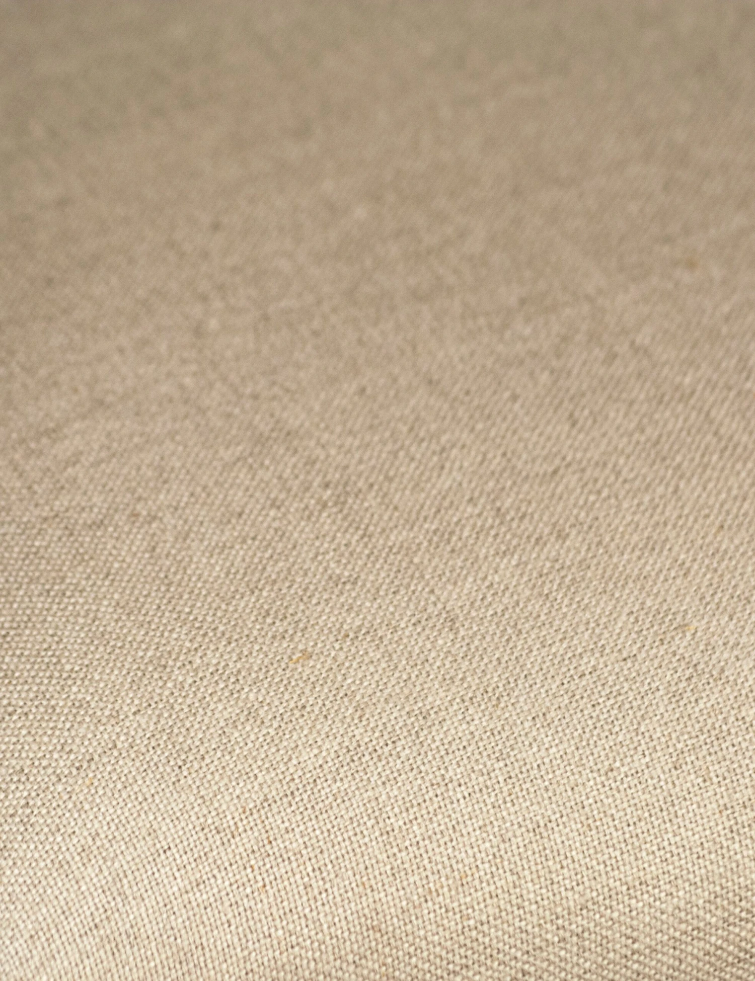 Cassidy Dining Chair 9 Cassidy Dining Chair - Image 7