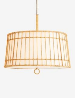 Sea Island Pendant Light By Arteriors -Furniture Decoration Shop DW49001.d1