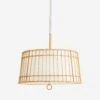 Sea Island Pendant Light By Arteriors 1 Sea Island Pendant Light By Arteriors -Furniture Decoration Shop DW49001.d2