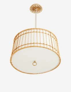 Sea Island Pendant Light By Arteriors -Furniture Decoration Shop DW49001.d4