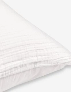 Darcy Sham -Furniture Decoration Shop DarcySham2 ef35bb42 d492 4121 9bfb f0e6be8ba96e