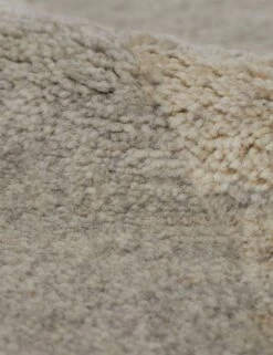 Fia Rug -Furniture Decoration Shop FiaRug 8 x10 17210 SITECROP