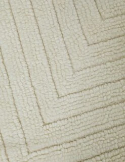 Jaela Rug -Furniture Decoration Shop JaelaRug 8 x10 A0654558 17221 SITECROP