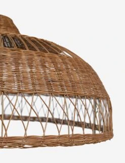 Ochoa Pendant Light -Furniture Decoration Shop OchoaPendantLight A0655695 0517