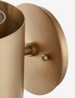 Roux Sconce By Colin King X Troy Lighting -Furniture Decoration Shop ROUXB4406 PBR 001