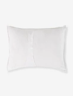 Darcy Sham -Furniture Decoration Shop V250174 2