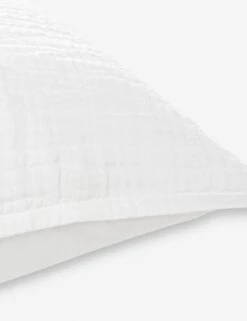 Darcy Sham -Furniture Decoration Shop V250174 3