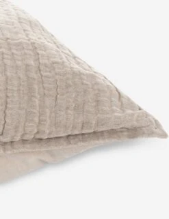 Darcy Sham -Furniture Decoration Shop V250186 3