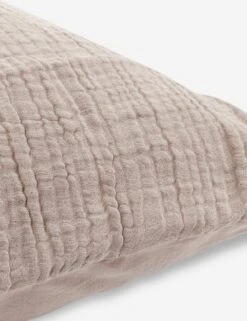 Darcy Sham -Furniture Decoration Shop V250187 3