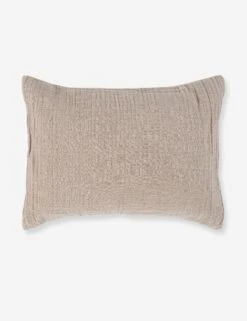 Darcy Sham -Furniture Decoration Shop V250188 1