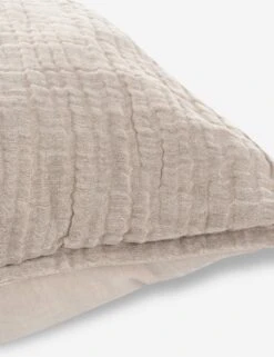 Darcy Sham -Furniture Decoration Shop V250188 3