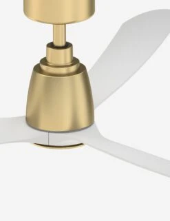 Cosima Ceiling Fan 10 Cosima Ceiling Fan -Furniture Decoration Shop fpd8534bs cap top