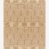 Alasa Indoor / Outdoor Rug