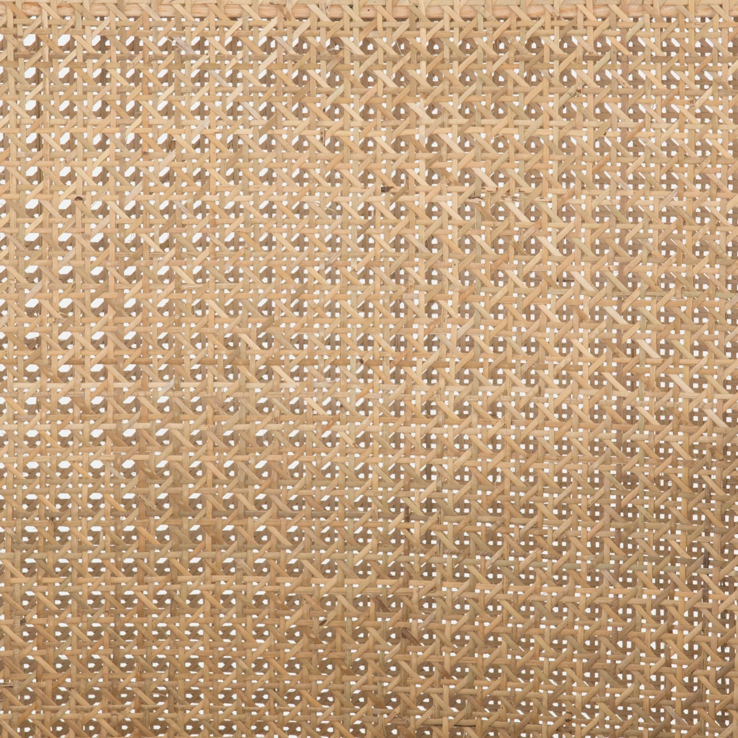 Jeni Dining Arm Chair 14 Jeni Dining Arm Chair - Image 12