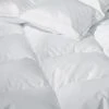Sweet Dreams Winter Down Duvet Insert 1 Sweet Dreams Winter Down Duvet Insert -Furniture Decoration Shop sweet dreams winter down duvet insert 1 0e032d69 c128 4aca 993e f1dbdc102ce6